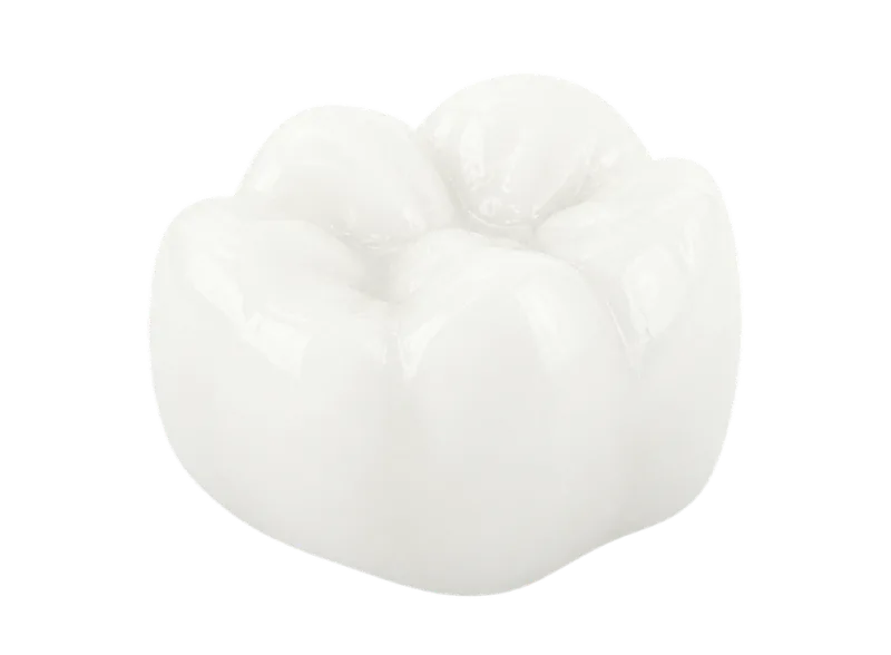Realistic white zirconia dental crown material sample.