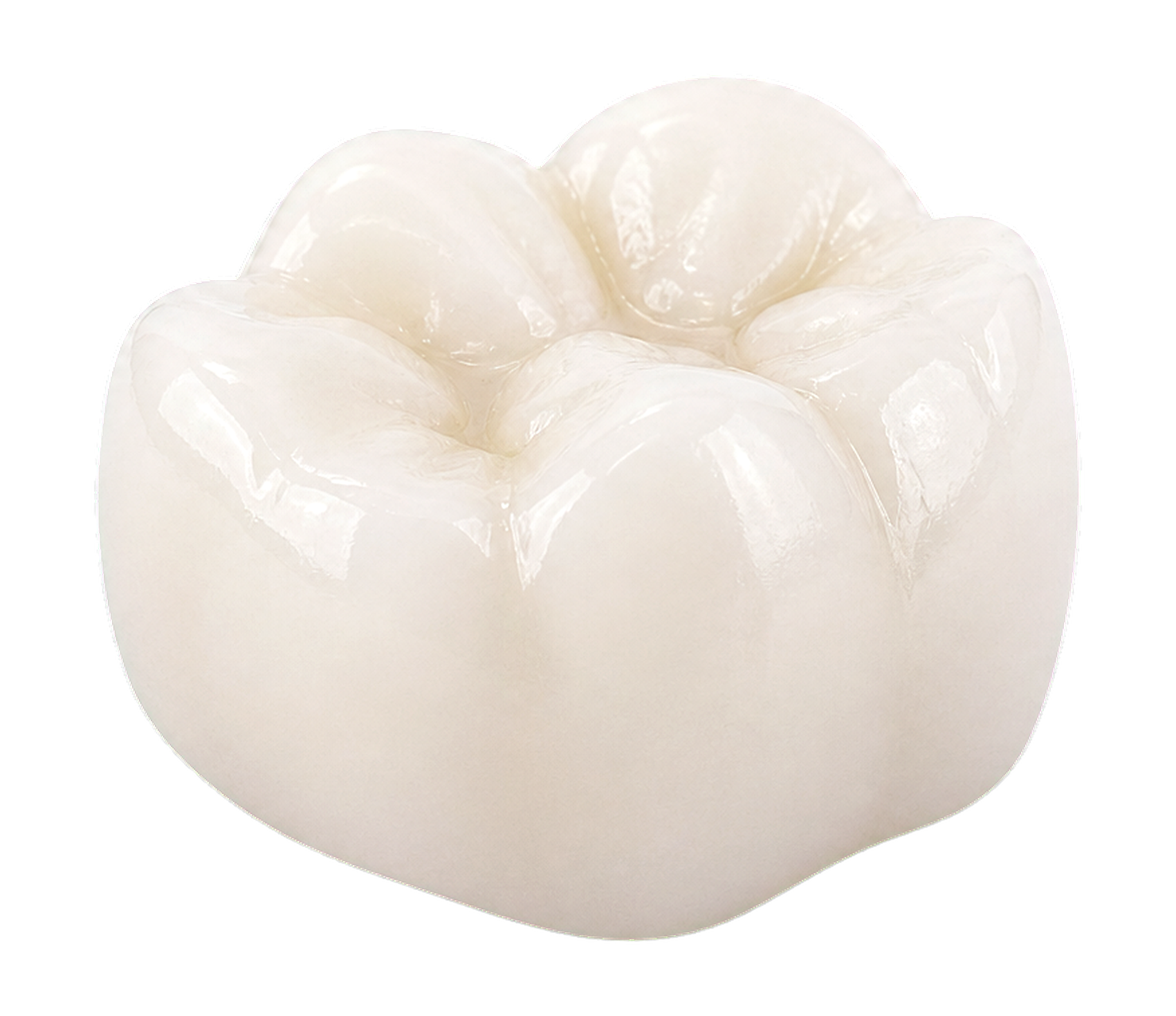 Realistic white molar dental crown.